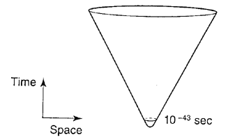 Fig. 7: Quantum Gravity Model